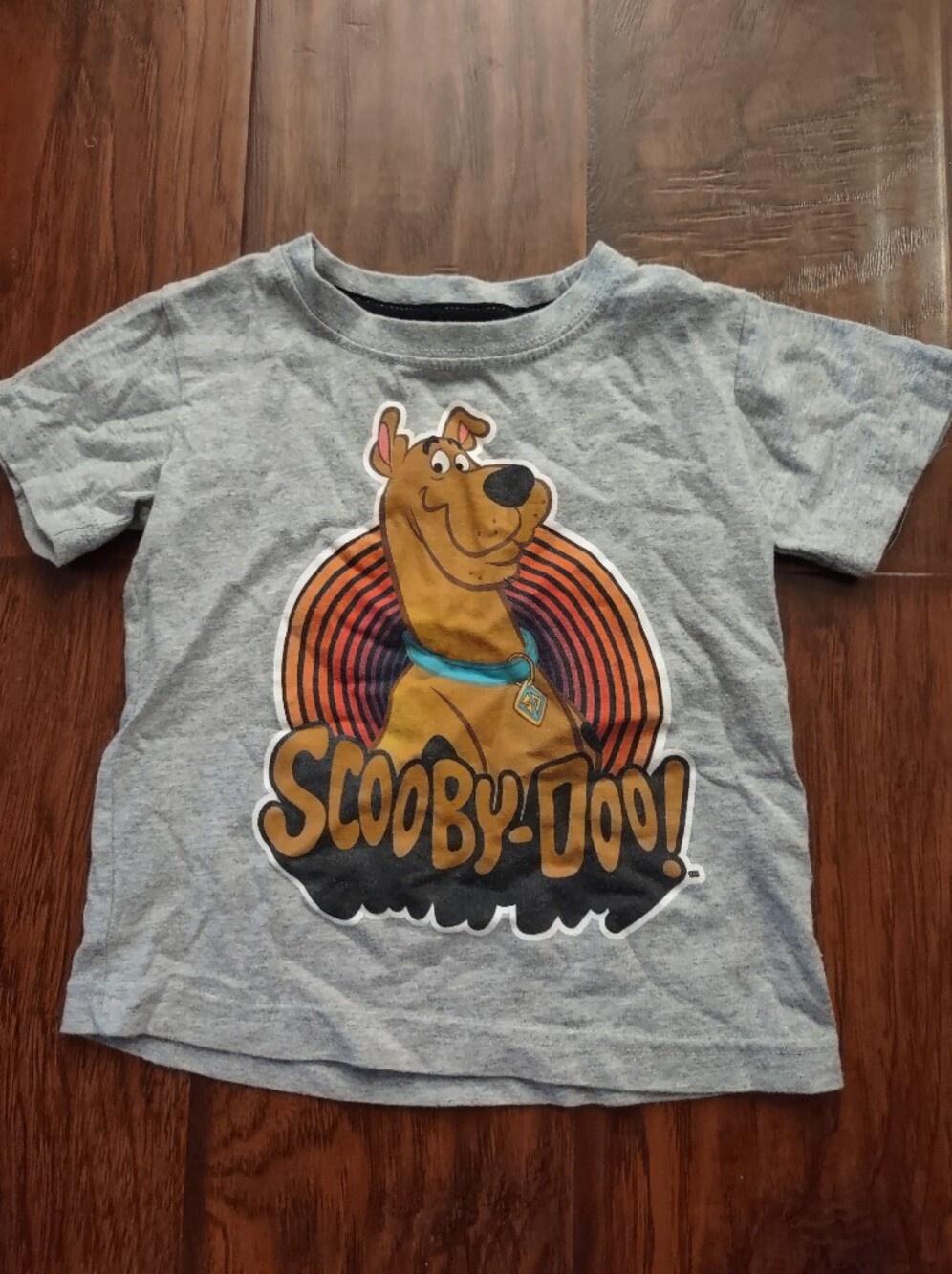 Scooby-Doo Kids Graphic Tee - Gray